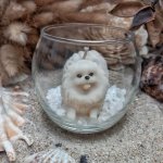 bougie spitz