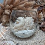 bougie spitz
