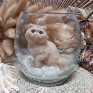 bougie chat persan