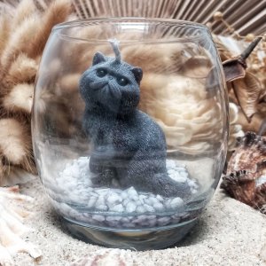 bougie chat persan